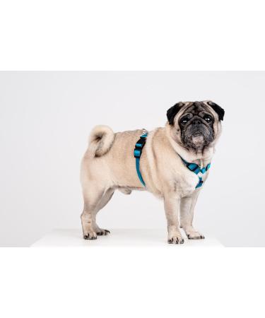 Chaba Guard Dog Harness for Small & Medium Dogs | Adjustable Anti-Choking & Control | Lightweight Step-In Design - Buy Online on GoSupps.com