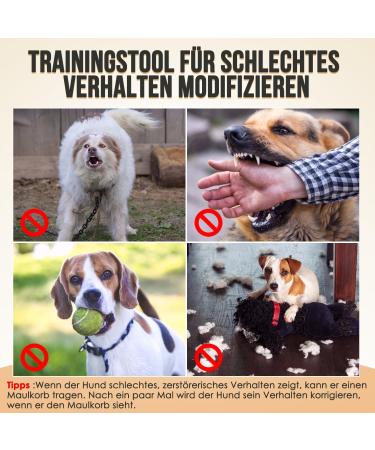 Eyin Adjustable Reflective Nylon Muzzle for Small Dogs - Prevent Biting Barking & Chewing Allows Panting & Drinking - Black Size S - Buy Online on GoSupps.com