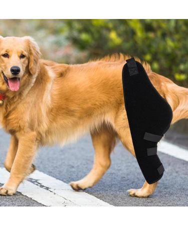 Dualoai Dog Knee Brace Adjustable Belt Durable Supportive Breathable Wrist Guard Ankle Brace for Dog Supplies Left Rear - Buy Online on GoSupps.com