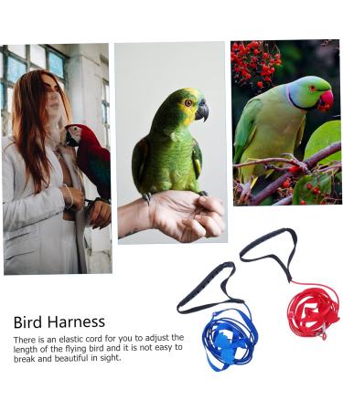 6 pcs Wing Training Cockatiel Parrot Adjustable Bird Leash Blue Belt Pet Conical with Tool Outdoor Lx3pcs Assorted Colorx3pcs - Buy Online on GoSupps.com