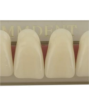 MMDENT Synthetic Denture Dental Resin Teeth | White Color Large Size - Perfect for Halloween Horror Props - Buy Online on GoSupps.com
