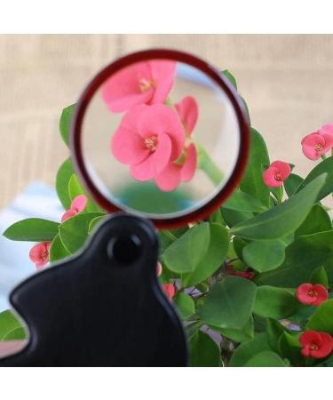 Portable Magnifier Folding 3.5 Times 20 Portable Hd Old Reading Small 10 Glass Hd Zoom Compact and Portable Full of Stars - Buy Online on GoSupps.com
