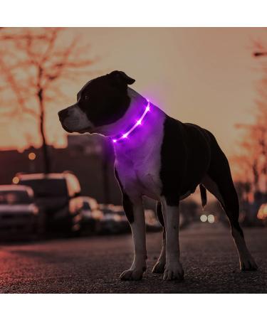 Buy Masbrill LED Dog Collar - Waterproof Luminous Safety Collar with 3 Flashing Lights for Small to Large Dogs (Purple 48-60cm) | International Shipping Available - Buy Online on GoSupps.com