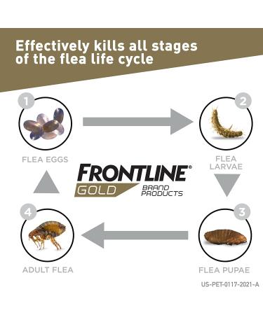 Frontline Gold for Cats - 3 Count Flea and Tick Spot Treatment - Buy Online on GoSupps.com