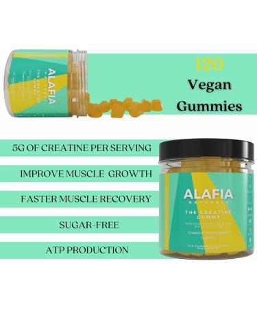 Alafia Naturals Sugar Free Creatine Gummies for Strength & Recovery - 120 ct | Chewable Creatine with L-Carnitine 5g per Serving 30 Servings for Men & Women - Buy Online on GoSupps.com