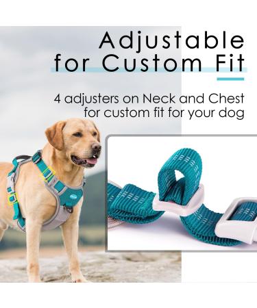 Thinkpet Anti Zug Dog Harness - Adjustable No-Choke Design with Handle Reflective & Breathable | Small Bright Blue-Green - Best for Easy Dog Control - Buy Online on GoSupps.com