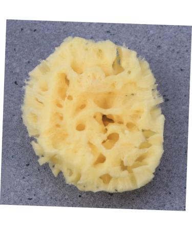 DOITOOL Bath Sponge Sponges Bath Shower Sponge Seaweed Sponge Natural Bath Flower Baby - Buy Online on GoSupps.com