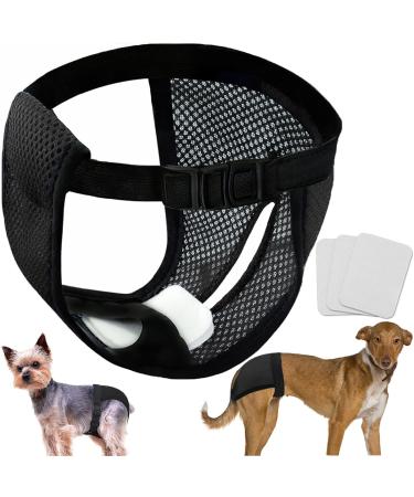 Leaving 2 Pack mesh foliage pants for bitches washable. - Buy Online on GoSupps.com