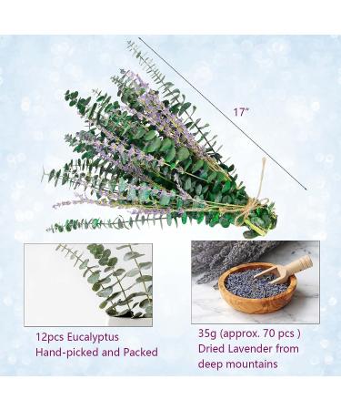 80 Pcs Mix Dried Eucalyptus & Lavender Flower Bundles for Shower - 100% Natural | Fresh Eucalyptus Leaves Stems | Hanging Shower Plant, Home Spa Decor - Buy Online on GoSupps.com