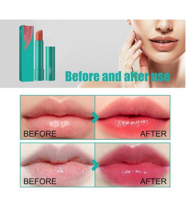 4Pcs Hydrating Lip Tint & Gloss - Natural Ingredients Long-lasting Moisturizing Lip Balm for Women & Girls - Buy Online on GoSupps.com