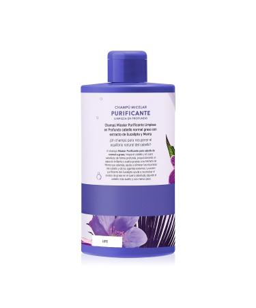 TULIPAN NEGRO Purifying Micellar Shampoo with Mint & Eucalyptus | 13.5 Fl Oz | International Shipping Available - Buy Online on GoSupps.com