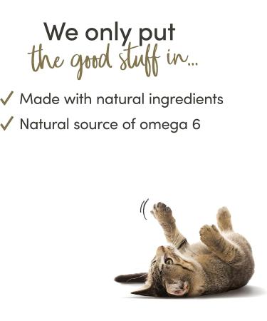 Applaws Natural Kitten Food Wet Sardines with Rice - 24 x 70g Cans | Premium Junior Kitten Nutrition in Jelly - Buy Online on GoSupps.com
