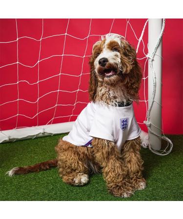 Dogsy Official Personalised England Dog Shirt | England Football Shirt for Dogs | Dog England Outfit | Dog England Football Kit | Licensed England Shirt | Dog Football Top (Medium) - Buy Online on GoSupps.com