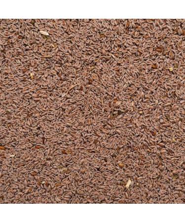 Psyllium Bio 1kg - 99% Purity - Gluten-Free Lactose-Free Vegan - Bottled & Tested in Germany (DE- KO-005) - Buy Online on GoSupps.com