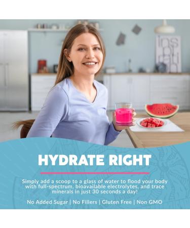 Buy Paleovalley Essential Electrolytes Powder - Watermelon Flavor for Hydration & Recovery - Sugar Free 28 Servings - International Shipping Available - Buy Online on GoSupps.com