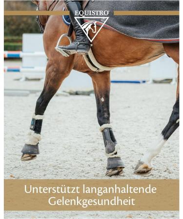 Vetoquinol Equistro Flexadin Advance 2.4 kg | Joint Supplement for Horses | Supports Osteoarthrosis & Joint Metabolism | Omega-3 Fatty Acids & Frankincense Extract - Buy Online on GoSupps.com