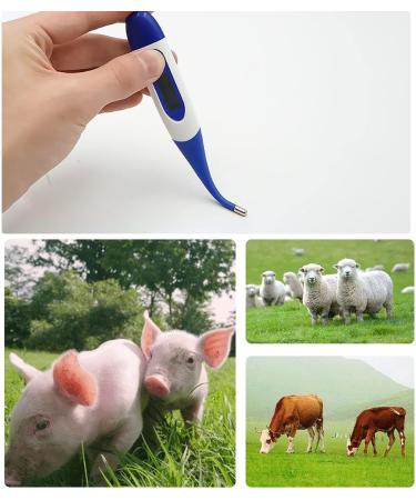 LUCHONG Animal Thermometer Digital LED Display Thermometer Fast Reading Accurate Waterproof Pet Digital Rectal Thermometer for Livestock Dogs Horse Cats Pigs Sheep - Buy Online on GoSupps.com