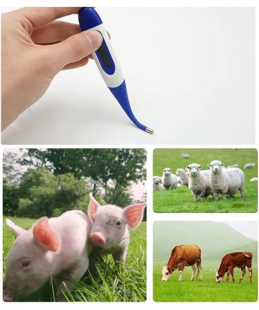 Animal Thermometer Pet Thermometer LSFYYDS Digital LED Display Thermometer Fast Reading Accurate Waterproof Pet Digital Rectal Thermometer for Livestock Dogs Horse Cats Pigs Sheep - Buy Online on GoSupps.com