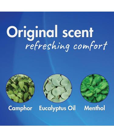 HealthWise Medicated Chest Rub | Cough suppressant | Relieves Nasal Congestion | Relieves Minor Aches and Pains | 6 oz. Jar | Eucalyptus Menthol + Camphor - Buy Online on GoSupps.com