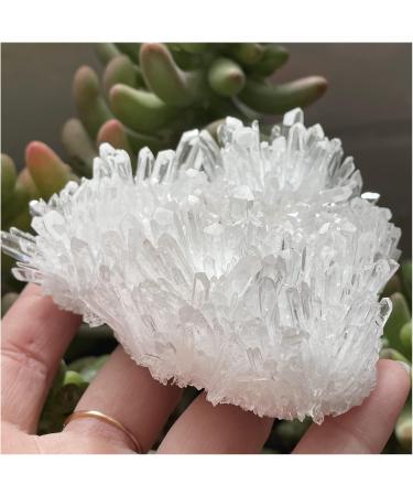 Natural Clear Quartz Crystal Cluster Minerals Reiki Stone Home Furnishing Decoration Decoration (Size : 300-400g) - Buy Online on GoSupps.com