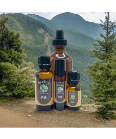 Organic Pine Essential Oil for Calming Aroma Diffuser Candle Making | Long - Lasting Housewarming Gifts Thanksgiving and Christmas 10ml Roll-On Pine 10ml Roll-On 0.33 Fl Oz (Pack of 1) - Buy Online on GoSupps.com