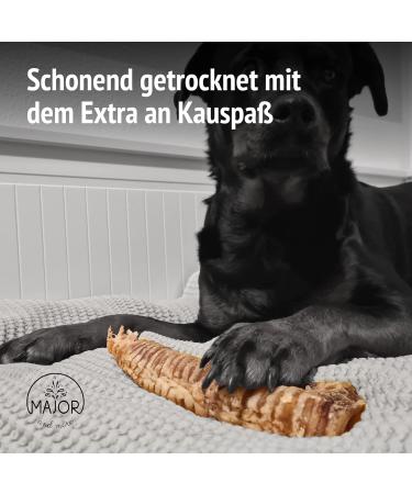 Premium Quality XXL Beef Head Skin - For Large and Very Large Dogs - Giant Breeds (1000g) - Buy Online on GoSupps.com