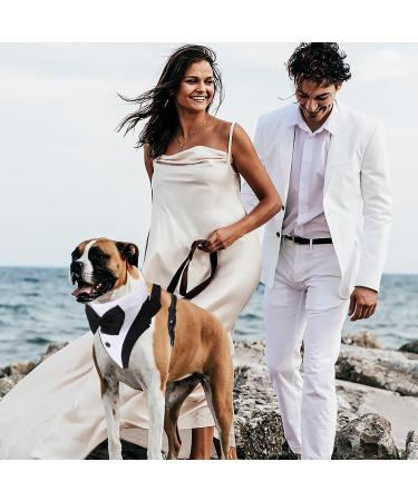 Shop Stylish Dogs Smoking Bandana | Adjustable Pet Headscarves for Weddings & Celebrations | Black & White Bandana for Dogs & Cats - Buy Online on GoSupps.com