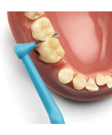 TePe Interdental Brush Original - Mixed Size Set of 6 Pieces | Essential Dental Care for Healthy Gums - Buy Online on GoSupps.com