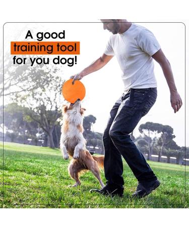 WELLXUNK Pet Frisbee 2 Pieces Flying Disc Dog Toy Rubber Flying Disc Dog Flying Disc Toy for Outdoor Interactive Fun Perfect for Dog Training Throw Catch & Play (M) - Buy Online on GoSupps.com