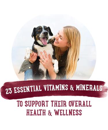 Beneful Prepared Meals Wet Dog Food Beef Stew - 283 g Tub (8 Pack) - Buy Online on GoSupps.com