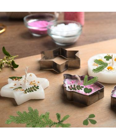 Dried Pressed Leaves and Flowers Assorted Greenery for Resin Art - 42 Pieces, 7 Styles - Buy Online on GoSupps.com