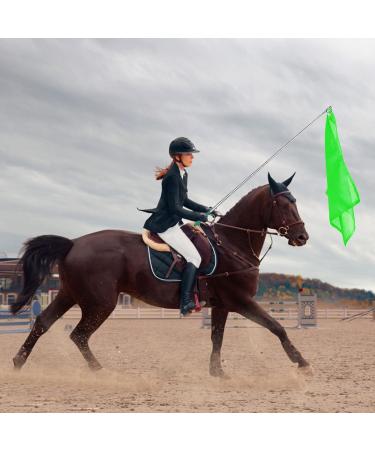 10Pcs Equestrian Training Flags Equestrian Training Equipment Equestrian Nylon Flags With Flagpole Training Flag Horsemanship Flag Horse Lunging Training Stick Animal Flag Training Stick - Buy Online on GoSupps.com
