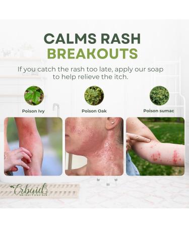 Poison Ivy Soap Bar All Natural Treatment for Poison Ivy Oak & Sumac Anti-Itch Skin Cleanser Soothes & Relieves Rashes Made in USA 5oz - Buy Online on GoSupps.com
