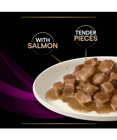 Pro Plan Veterinary Diets UR Urinary Wet Cat Food Salmon 10x85g Salmon 85 g (Pack of 1) - Buy Online on GoSupps.com