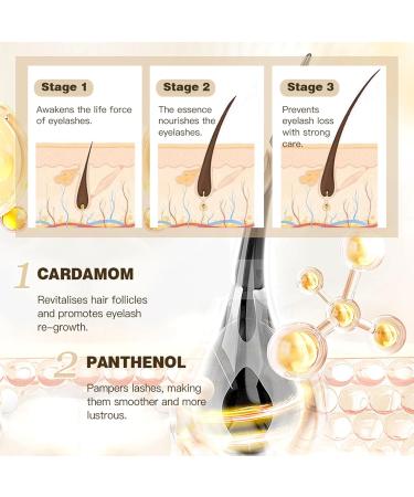 Ultimate Waterproof Makeup Sets: Long Lasting Lash Serum & Smudgeproof Mascara Gift Kit for Women & Girls (2 Pcs - Buy Online on GoSupps.com
