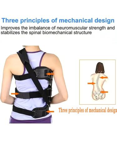 Spinal Auxiliary Orthosis Adjustable Scoliosis Posture Corrector Fixed Correction Brace After Scoliosis for Back Postoperative Recovery Adults Health Care Back Posture - Buy Online on GoSupps.com