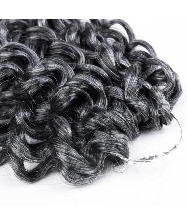 Short 10 inch Grey Curly Crochet Hair for Black Women - Water Wave Ocean Wave Gogo Curl Crochet Braids (TGREY) - Buy Online on GoSupps.com