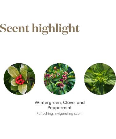 Young Living PanAway Essential Oil 5ml - Soothing Aroma for Relaxation & Massage | Travel Size Aromatherapy Blend of Clove Wintergreen Peppermint & Helichrysum - Buy Online on GoSupps.com
