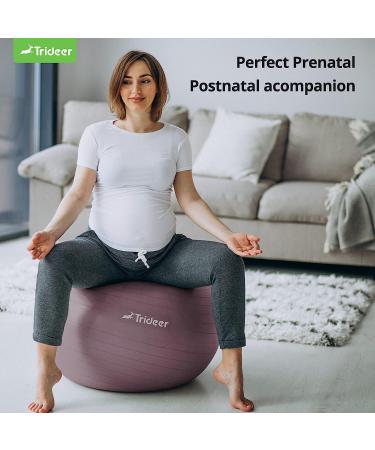 Trideer Nature Themed Exercise Ball for Workout, Stability, Balance, Physical Therapy & Pregnancy - Rosy Morning Glow | 23-26 inches - Buy Online on GoSupps.com