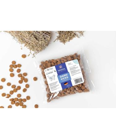 PAWKICK DARM-Kicks CAT Treats | Herbal Extracts for Cats | 78g | Healthy Intestinal Flora | 3-Month Treatment - Buy Online on GoSupps.com