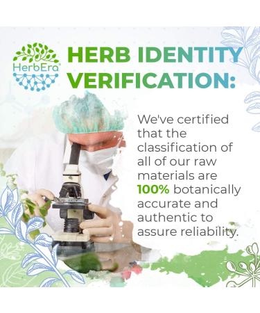 Chanca Piedra Alcohol-Free Herbal Extract Tincture | Natural Phyllanthus niruri Liquid Drops (4 fl oz) - Pack of 1 - Buy Online on GoSupps.com