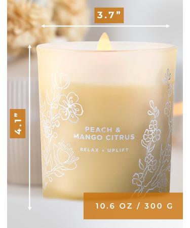 Large Peach Mango Tropical Citrus Candle - Natural Soy Aromatherapy Jar - Long Lasting 10.6 oz Fresh Summer Scent for Home - Perfect Gift for Men & Women - Buy Online on GoSupps.com