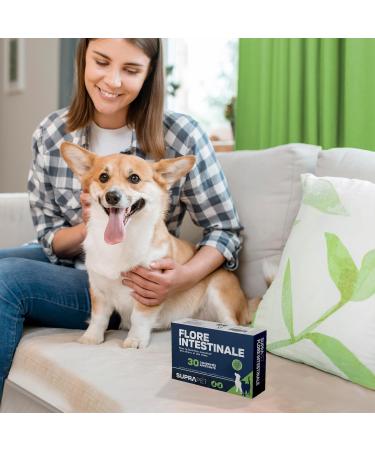 Suprapet Intestinal Flora Dogs and Cats 30 tablets - Natural complementary food with lactic ferments probiotics Vitamin C for the intestine bacterial flora and immune defenses - Buy Online on GoSupps.com