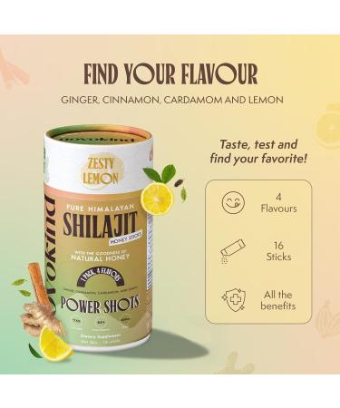 Himalayan Shilajit Sticks with Honey | Discovery Set - Cardamom Cinnamon Ginger Lemon | On-The-Go Natural Energy | 75%+ Fulvic Acid | 85+ Trace Minerals for Men & Women Pack of 16 Discovery (Sampler) 16 Count (Pack of 1) - Buy Online on GoSupps.com