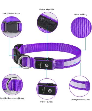 Masbrill Luminous LED Dog Collar - Waterproof Adjustable Safety Collar for Small & Medium Dogs - 3 Lighting Modes - Purple (48-60cm) - Buy Online on GoSupps.com