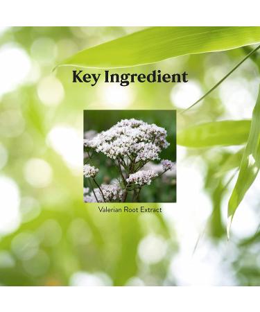 Nature's Sunshine Valerian Root Extract Time Release 60 Capsules - Natural Sleep Aid - Buy Online on GoSupps.com