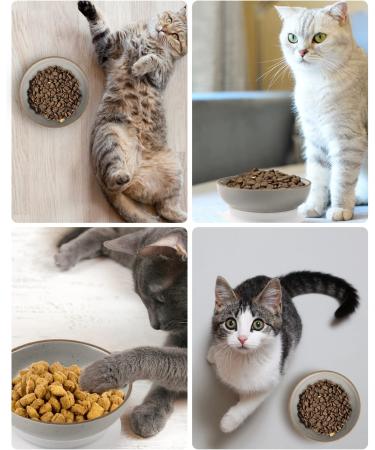 YMASINS Ceramic Cat Bowls 4 Pack - Stress-Relief Wide Food Dishes for Cats - Non-Slip Mat and Matte Finish Grey - Ideal for Kittens and Small Animals - Buy Online on GoSupps.com