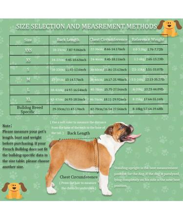 Dog Back Brace IVDD Pet Hip Brace Support with Leash Comfortable Dog Spine Support Vest for Small and Medium Sized Pets with Arthritis Herniated Disc Or Spinal Surgery Recovery (S) - Buy Online on GoSupps.com