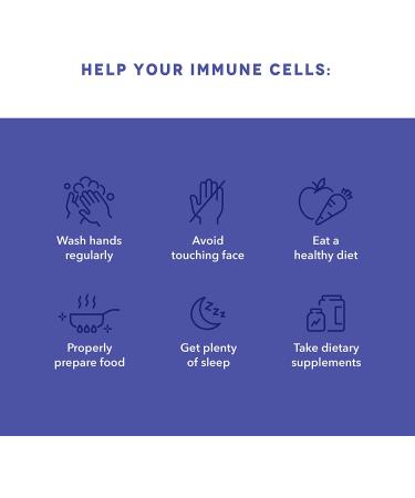 LifeSeasons Clinical Immunity Elderberry Gummies 6500 mg - 75 Count | Immune Support - Buy Online on GoSupps.com