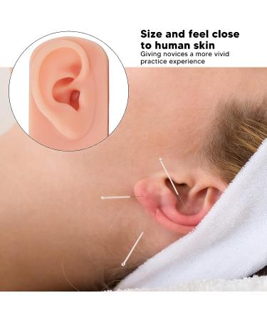 ZJchao 3Pcs Silicone Ear Model - 3 Colors Soft & Flexible Right Ear Simulation Display Props - Buy Online on GoSupps.com